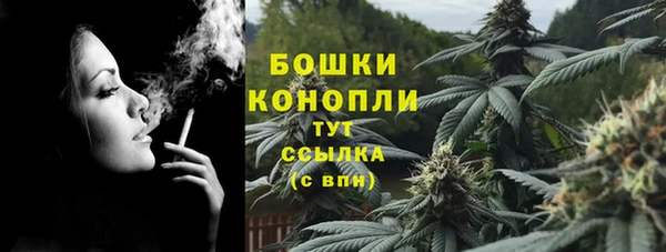 сатива Армянск