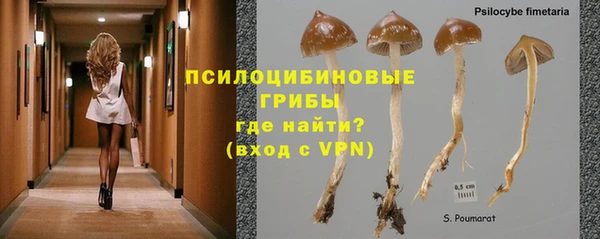 сатива Армянск