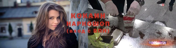 сатива Армянск