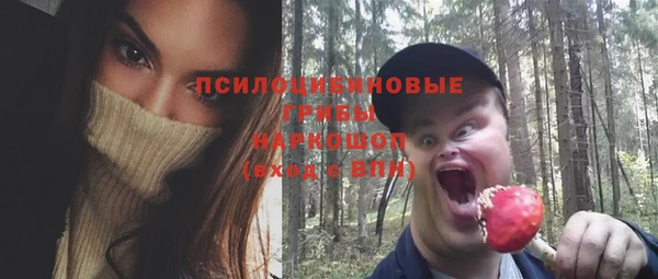 спайс Аркадак