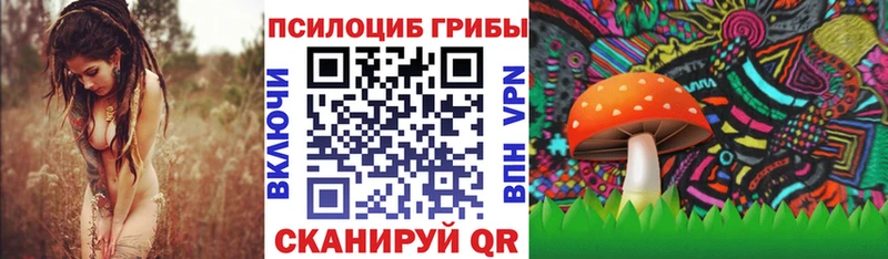 МЕГА ТОР Унеча Галлюциногенные грибы Psilocybine cubensis